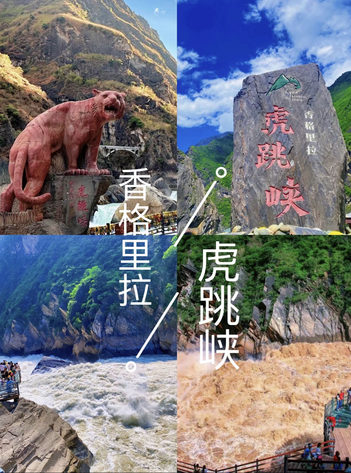 (图16)