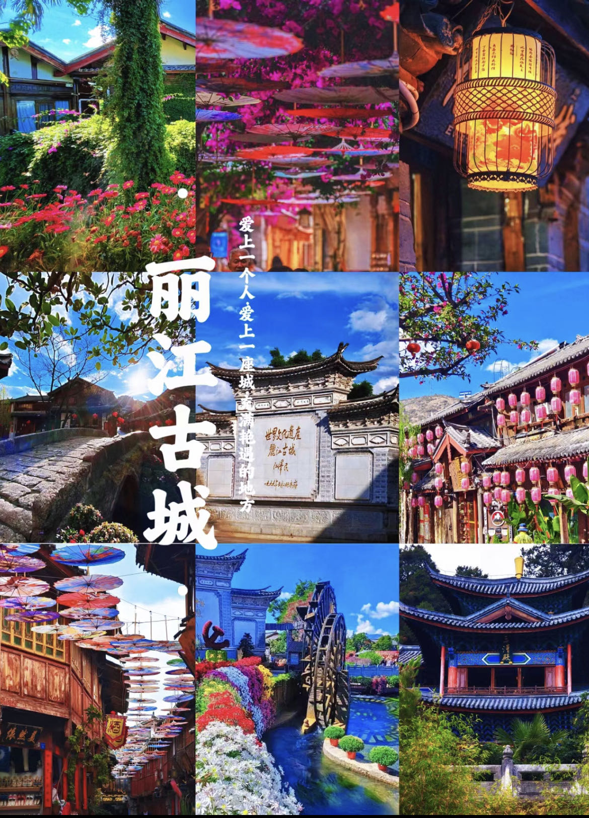 (图19)