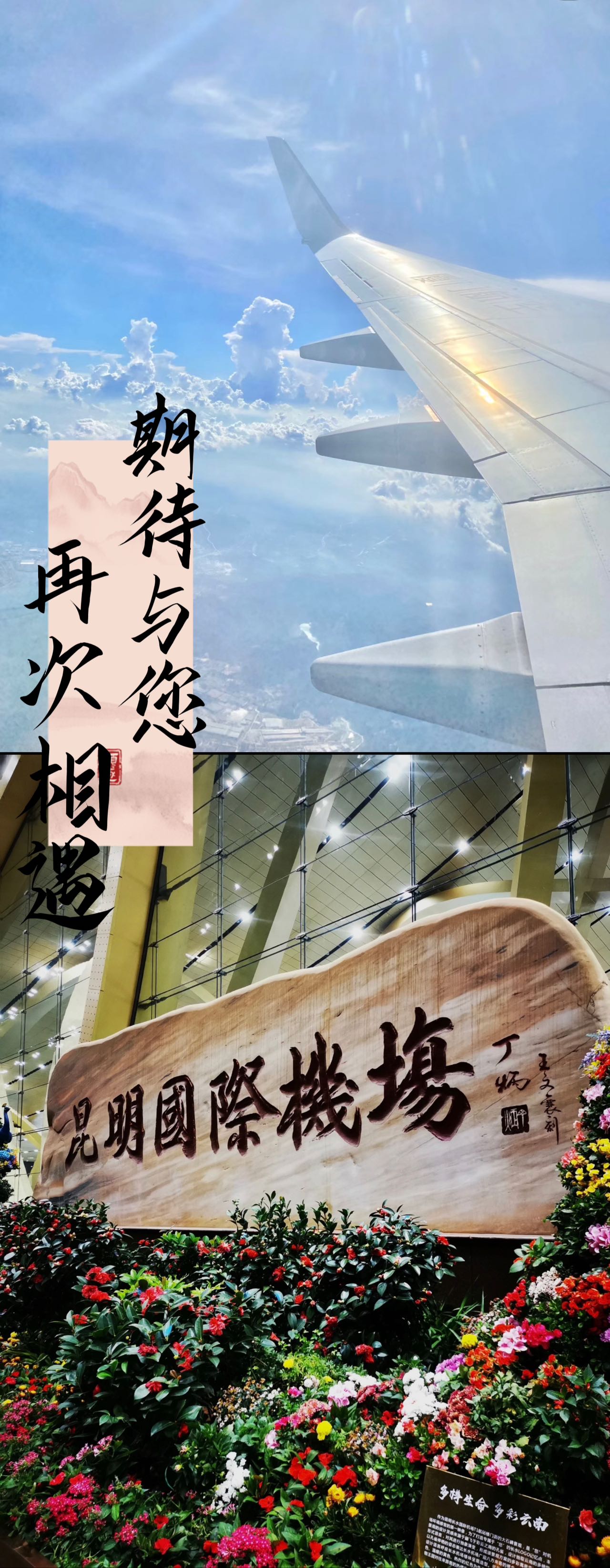 (图20)
