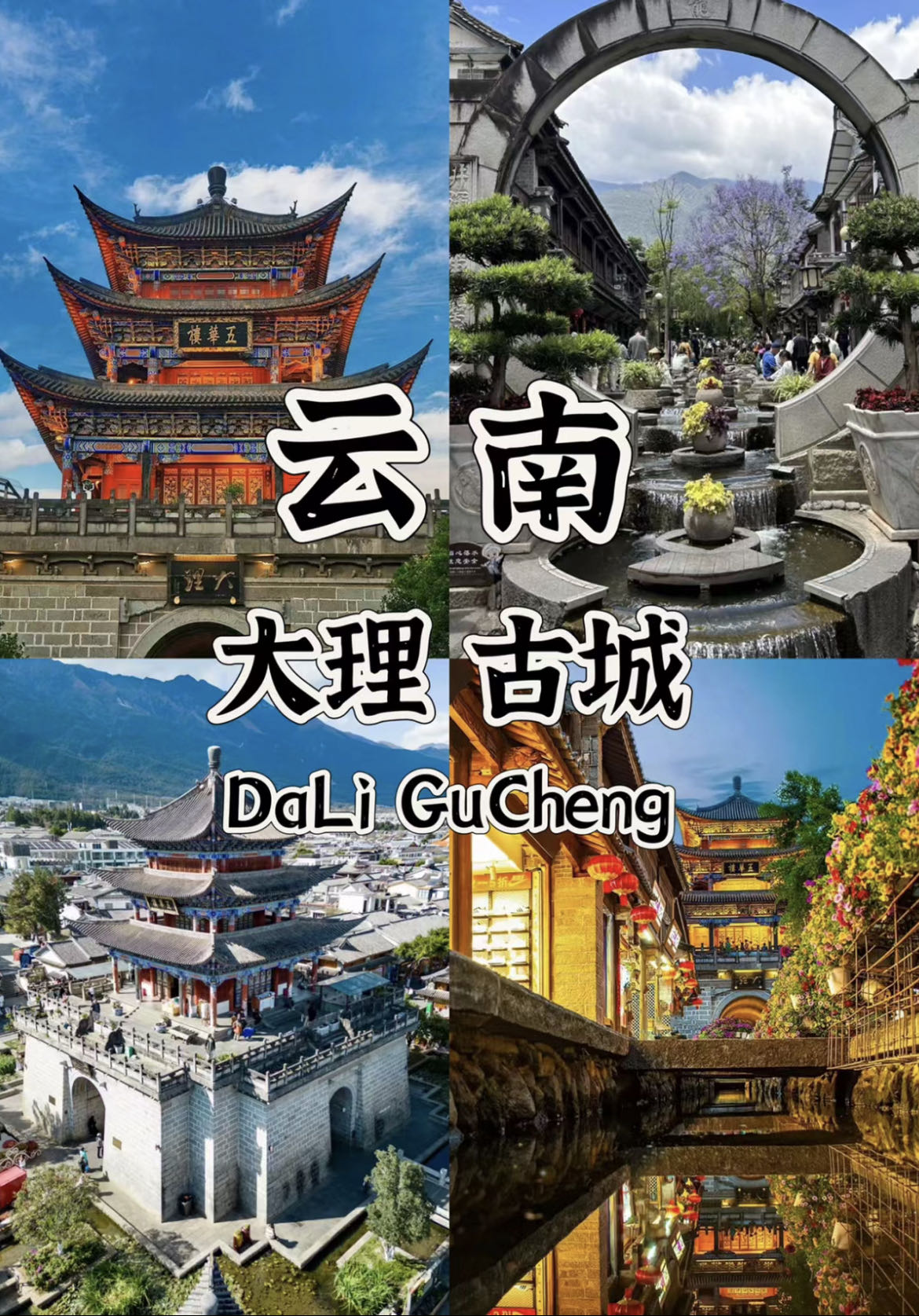 (图14)